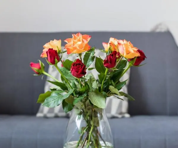 Modern Stachowicza Cracow By Renters Apartment Krakow